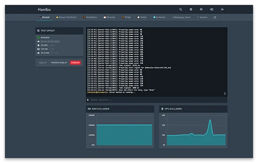 dst server panel