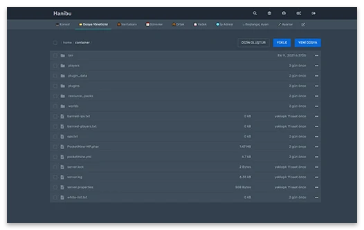 ts server panel